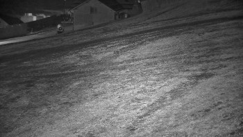 Snímek 7.11.2025 v 21:32