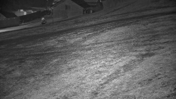 Snímek 7.11.2025 v 22:55