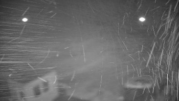 Snímek 9.11.2025 v 00:55