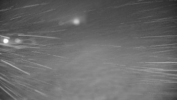 Snímek 10.11.2025 v 03:25