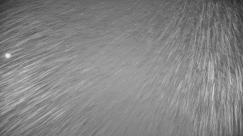 Snímek 11.11.2025 v 02:55