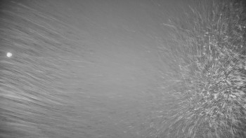 Snímek 11.11.2025 v 06:05