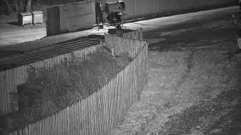 Snímek 11.11.2025 v 19:40