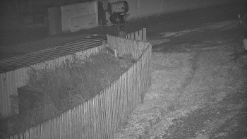 Snímek 12.11.2025 v 01:50