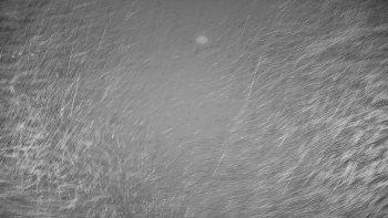 Snímek 13.11.2025 v 23:45