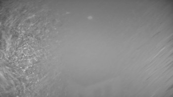 Snímek 14.11.2025 v 00:10