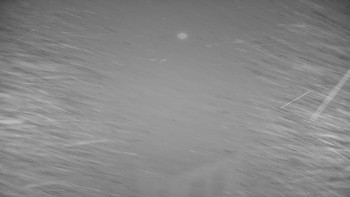 Snímek 14.11.2025 v 01:45