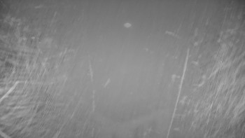 Snímek 14.11.2025 v 03:32