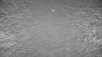 Snímek 14.11.2025 v 05:20