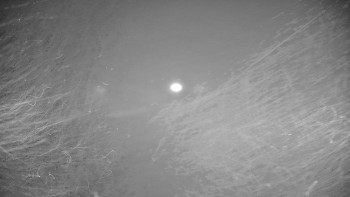 Snímek 14.11.2025 v 17:10