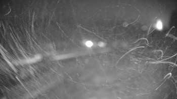 Snímek 14.11.2025 v 17:50