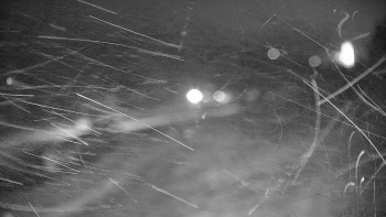 Snímek 14.11.2025 v 21:55