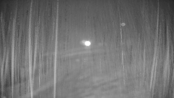 Snímek 15.11.2025 v 00:20