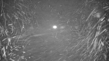 Snímek 15.11.2025 v 06:15