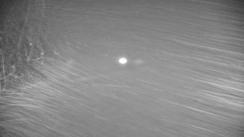 Snímek 16.11.2025 v 21:40