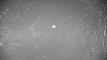 Snímek 16.11.2025 v 22:25