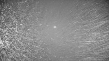 Snímek 17.11.2025 v 02:50