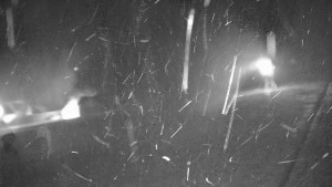 Ski areál Branná - Ski areál Branná - 19.11.2025 v 02:05 Ski areál Branná - Ski areál Branná - 19.11.2025 v 02:05