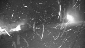 Ski areál Branná - Ski areál Branná - 19.11.2025 v 02:50 Ski areál Branná - Ski areál Branná - 19.11.2025 v 02:50