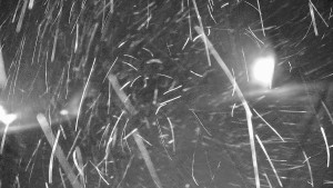 Ski areál Branná - Ski areál Branná - 19.11.2025 v 03:02 Ski areál Branná - Ski areál Branná - 19.11.2025 v 03:02