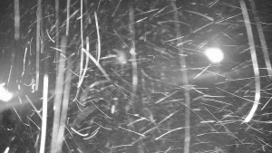 Ski areál Branná - Ski areál Branná - 19.11.2025 v 03:32 Ski areál Branná - Ski areál Branná - 19.11.2025 v 03:32