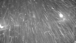 Ski areál Branná - Ski areál Branná - 19.11.2025 v 03:35 Ski areál Branná - Ski areál Branná - 19.11.2025 v 03:35