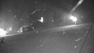 Ski areál Branná - Ski areál Branná - 19.11.2025 v 04:45 Ski areál Branná - Ski areál Branná - 19.11.2025 v 04:45