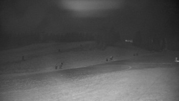 Snímek 19.11.2025 v 18:40