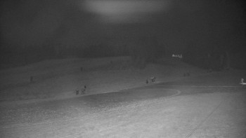 Snímek 19.11.2025 v 19:32