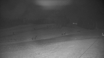 Snímek 20.11.2025 v 04:20