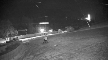 Snímek 20.11.2025 v 20:32