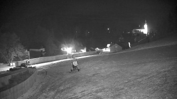 Snímek 20.11.2025 v 21:25