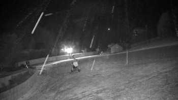 Snímek 21.11.2025 v 01:50