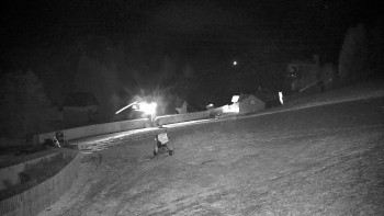 Snímek 21.11.2025 v 02:25