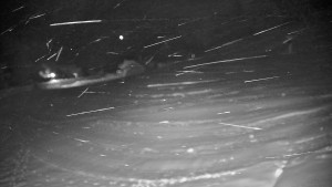 Ski areál Branná - Ski areál Branná - 26.11.2025 v 00:05 Ski areál Branná - Ski areál Branná - 26.11.2025 v 00:05