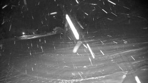 Ski areál Branná - Ski areál Branná - 26.11.2025 v 01:05 Ski areál Branná - Ski areál Branná - 26.11.2025 v 01:05