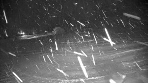 Ski areál Branná - Ski areál Branná - 26.11.2025 v 01:45 Ski areál Branná - Ski areál Branná - 26.11.2025 v 01:45