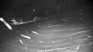 Ski areál Branná - Ski areál Branná - 26.11.2025 v 02:10 Ski areál Branná - Ski areál Branná - 26.11.2025 v 02:10