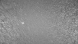 Ski areál Branná - Ski areál Branná - 12.12.2025 v 01:25 Ski areál Branná - Ski areál Branná - 12.12.2025 v 01:25