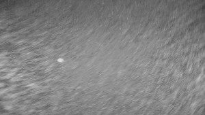 Ski areál Branná - Ski areál Branná - 12.12.2025 v 01:32 Ski areál Branná - Ski areál Branná - 12.12.2025 v 01:32