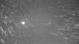 Ski areál Branná - Ski areál Branná - 12.12.2025 v 01:35 Ski areál Branná - Ski areál Branná - 12.12.2025 v 01:35