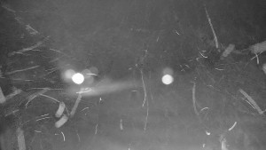 Ski areál Branná - Ski areál Branná - 12.12.2025 v 02:05 Ski areál Branná - Ski areál Branná - 12.12.2025 v 02:05