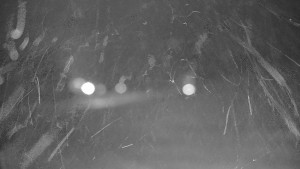 Ski areál Branná - Ski areál Branná - 12.12.2025 v 02:15 Ski areál Branná - Ski areál Branná - 12.12.2025 v 02:15