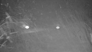 Ski areál Branná - Ski areál Branná - 12.12.2025 v 02:20 Ski areál Branná - Ski areál Branná - 12.12.2025 v 02:20