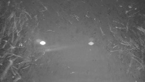 Ski areál Branná - Ski areál Branná - 12.12.2025 v 02:25 Ski areál Branná - Ski areál Branná - 12.12.2025 v 02:25