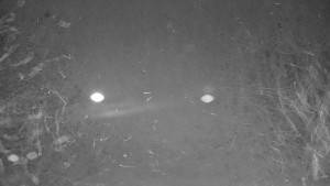 Ski areál Branná - Ski areál Branná - 12.12.2025 v 02:35 Ski areál Branná - Ski areál Branná - 12.12.2025 v 02:35