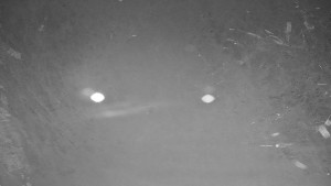 Ski areál Branná - Ski areál Branná - 12.12.2025 v 02:40 Ski areál Branná - Ski areál Branná - 12.12.2025 v 02:40