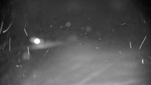 Ski areál Branná - Ski areál Branná - 21.12.2025 v 00:10 Ski areál Branná - Ski areál Branná - 21.12.2025 v 00:10