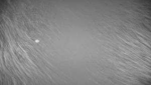 Ski areál Branná - Ski areál Branná - 21.12.2025 v 01:25 Ski areál Branná - Ski areál Branná - 21.12.2025 v 01:25