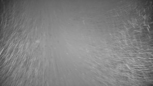 Ski areál Branná - Ski areál Branná - 21.12.2025 v 01:50 Ski areál Branná - Ski areál Branná - 21.12.2025 v 01:50